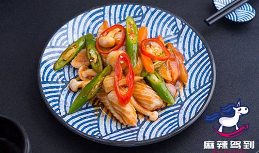 麻辣驾到总部实力雄厚，创业开店狂揽金！——旅游开发项目策划咨询