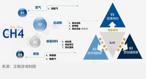 天然气深加工行业细分领域发展前景浅析及旅游开发项目策划咨询